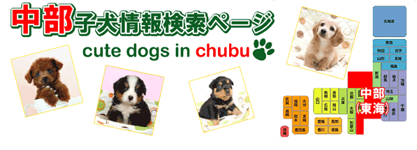 中部（東海）ブリーダーの小型犬・大型犬子犬検索ページ