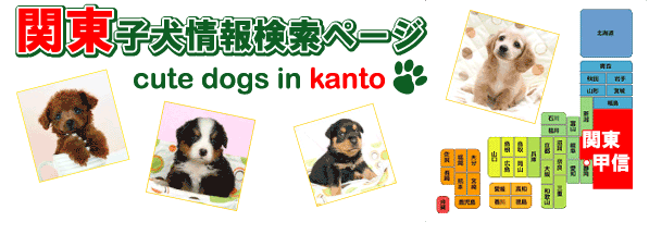 関東・甲信ブリーダーの小型犬・大型犬・子犬検索ページ